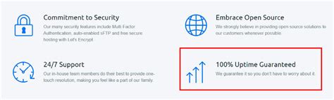 Infographic explaining DreamHost's 100% uptime guarantee