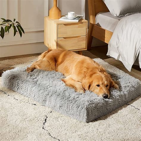 Dreamy Boucle Dog Beds for Your Golden Retrievers: Comfort and Style in 2025