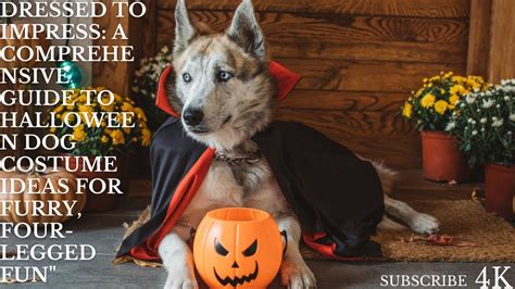 Dress to Impress: A Comprehensive Guide to Dog Costumes for Adults