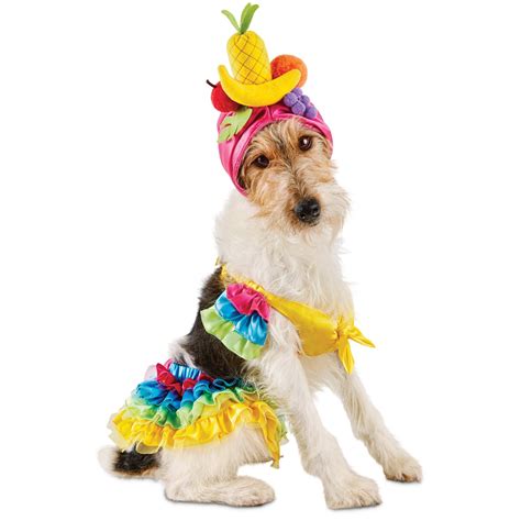 Dressing Up Your Pup: A Canine Carnival of Costumes