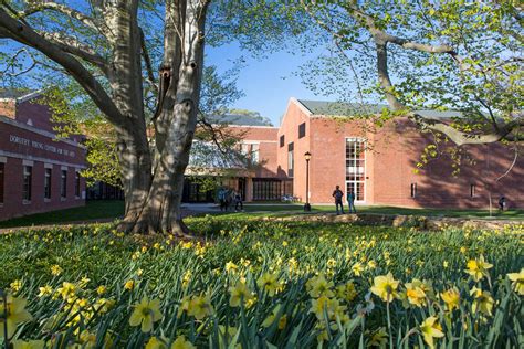 Drew University Application Portal: Unveiling the Pathway to Academic Excellence