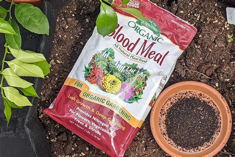 Dried Blood Meal Fertilizer: 101