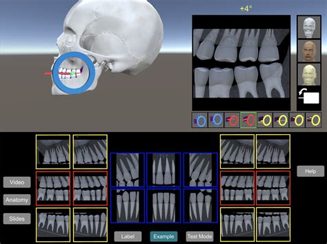 Drills3D Studio: An Immersive Virtual Dentistry Platform