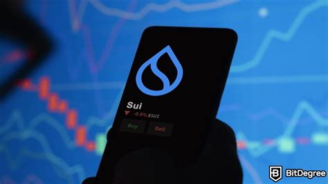 Drippy.Sui: Unveil the Potential of Your Decentralized Applications