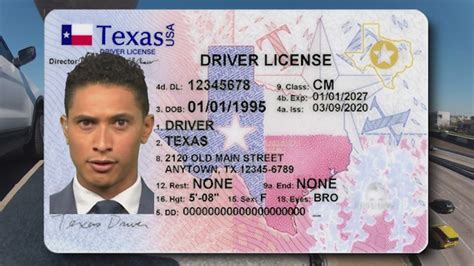 Driver's licenses and vehicle registration