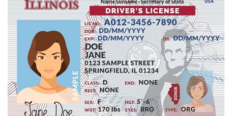 Drivers License Renewal Illinois: A 10,000-Character Guide