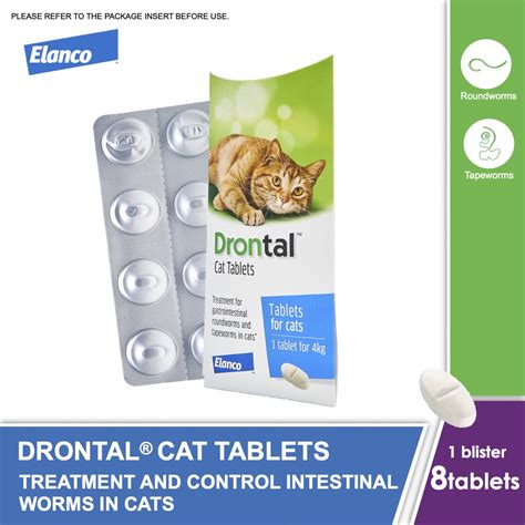 Drontal® 貓咪驅蟲藥 101：守護愛貓腸道健康，預防寄生蟲威脅