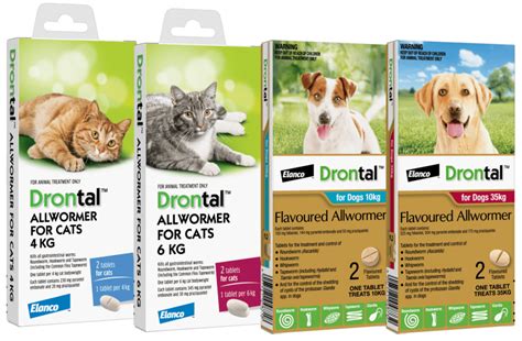 Drontal Plus: Your Comprehensive Guide to Intestinal Parasite Control