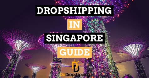 Dropshipping in Singapore 2025: The Definitive Guide