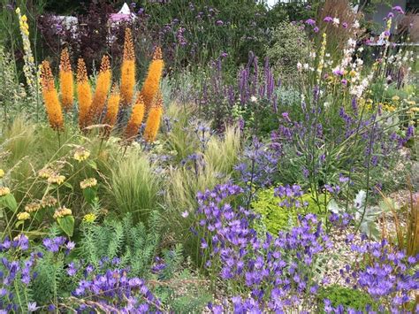 Drought-Resistant Planting Lessons from Beth Chatto s Gravel Garden PDF