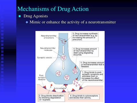 Drug Action in the Central Nervous System Reader