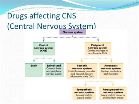 Drug Action in the Central Nervous System Reader