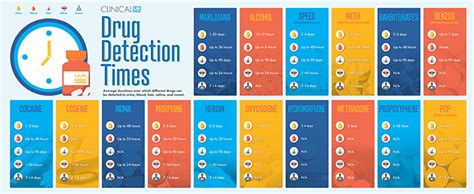 Drug Detection Time Chart