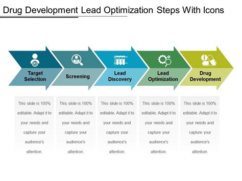 Drug Development and Optimization