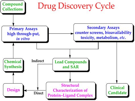 Drug discovery: