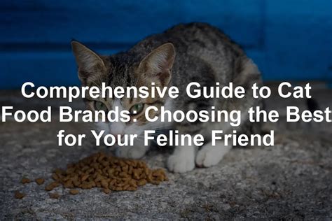 Dry Cat Food for Cats: A Comprehensive Guide to Choosing the Best Diet for Your Feline Friend