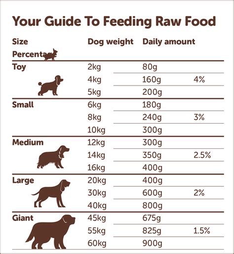 Dry Dog Food 101: The Ultimate Guide to Feeding Your Canine Companion