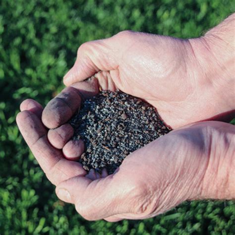 Dry Fertilizer: The Future of Fertilization by 2025