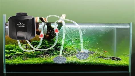 Dual Aquarium Air Pump: The Ultimate Guide for Every Aquarium Enthusiast