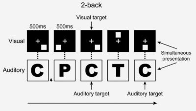 Dual N-Back Task: