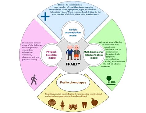 Dublin's Seniority Group: Navigating Aging and Frailty with Dignity