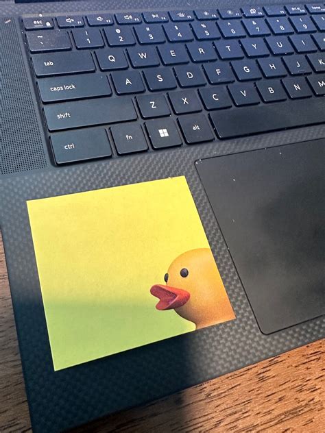 Ducky Note Pads Kindle Editon