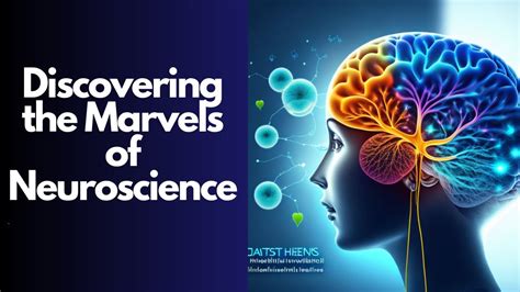 Duke Neuroscience PhD: A Journey into the Labyrinth of the Mind