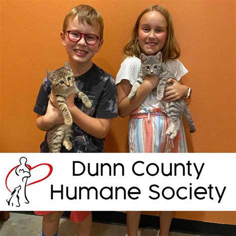 Dunn County Humane Society Menomonie WI: A Haven for Rescued Animals