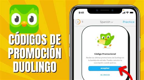 Duolingo 2024