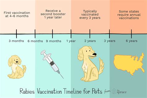 Duration of Rabies Vaccine in Dogs