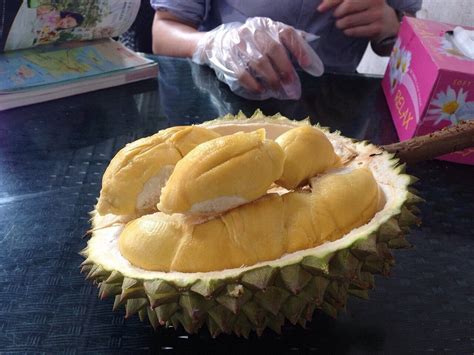 Durian 36: A Comprehensive Review with Star Ratings!