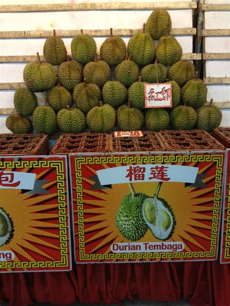 Durian Adventure in Johor Bahru: Embark on a Majestic Fruitful Journey