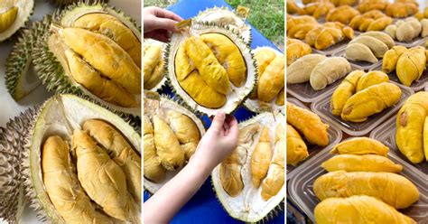 Durian Delights: 5 Must-Visit Spots to Savor the King of Fruits in Penang