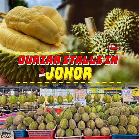 Durian Delights: An In-Depth Guide to Durian Buffets in Johor