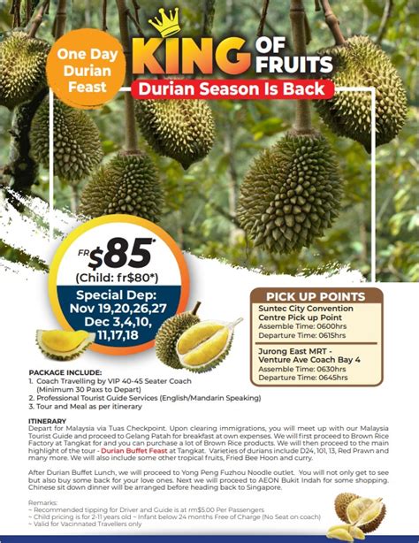 Durian Tour JB: The Ultimate Guide to Experiencing the King of Fruits in Johor Bahru