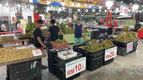 Durian Tour JB: Uncover the King of Fruits in Johor Bahru