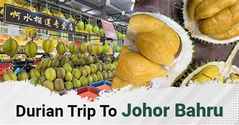 Durian Tour Johor Bahru: An Unforgettable Culinary Adventure in the Land of the King of Fruits