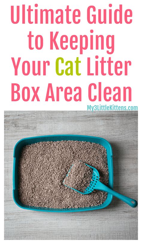 Dust-Free Kitty Litter: The Ultimate Guide to a Clean and Healthy Home