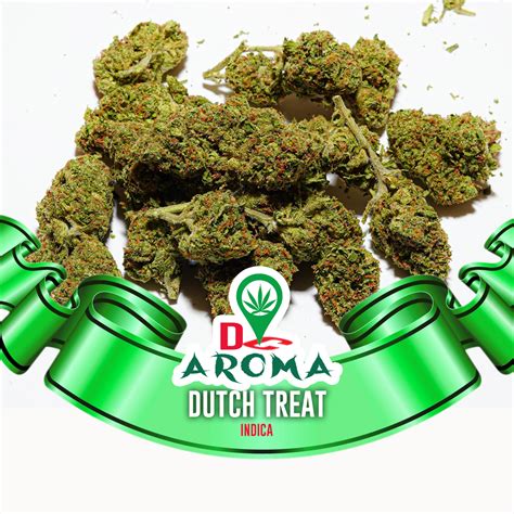 Dutch Treat Doc