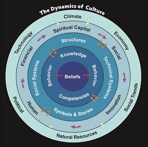 Dynamics of Culture Doc