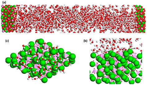 Dynamics of Molecular Crystals PDF