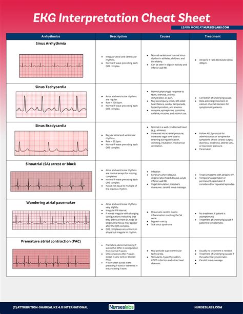 ECG Review and Electrical Therapy 2e Mosby s ACLS Lecture Series Epub