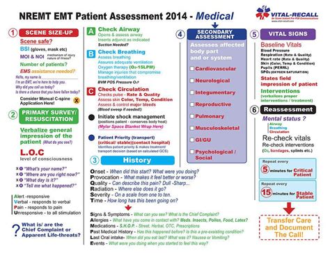 EMT Paramedic National Standards An Essential Guide for Patient Care Doc