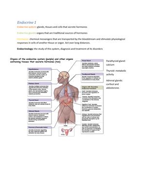 ENDOCRINE SYSTEM ANSWER KEY Ebook Doc