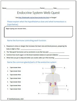 ENDOCRINE SYSTEM WEBQUEST ANSWER KEY Ebook Reader