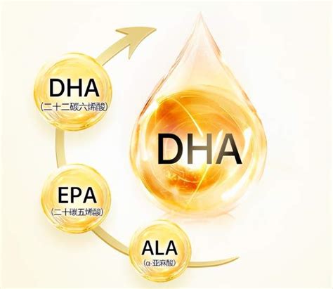 EPA 和 DHA含量：