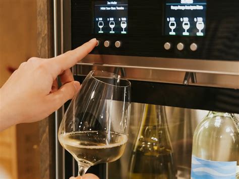 ERA-8AEB101V: The Ultimate Guide to Wine Enthusiast's Essential Wine Preservation System