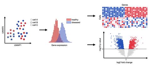 ERF1KM101G16OT: Unveiling the Revolutionary 101-Gene Expression Profile