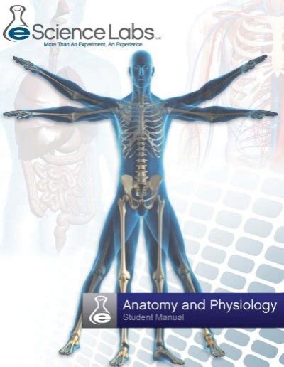 ESCIENCE LABS ANSWERS ANATOMY AND PHYSIOLOGY 2 Ebook PDF