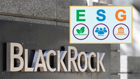 ESG BlackRock DEI: Driving Sustainable and Equitable Investments